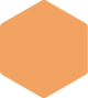 ALTRU_Shape_-_Light_Orange.png