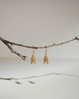 Bronze Cicada Hoop Earrings