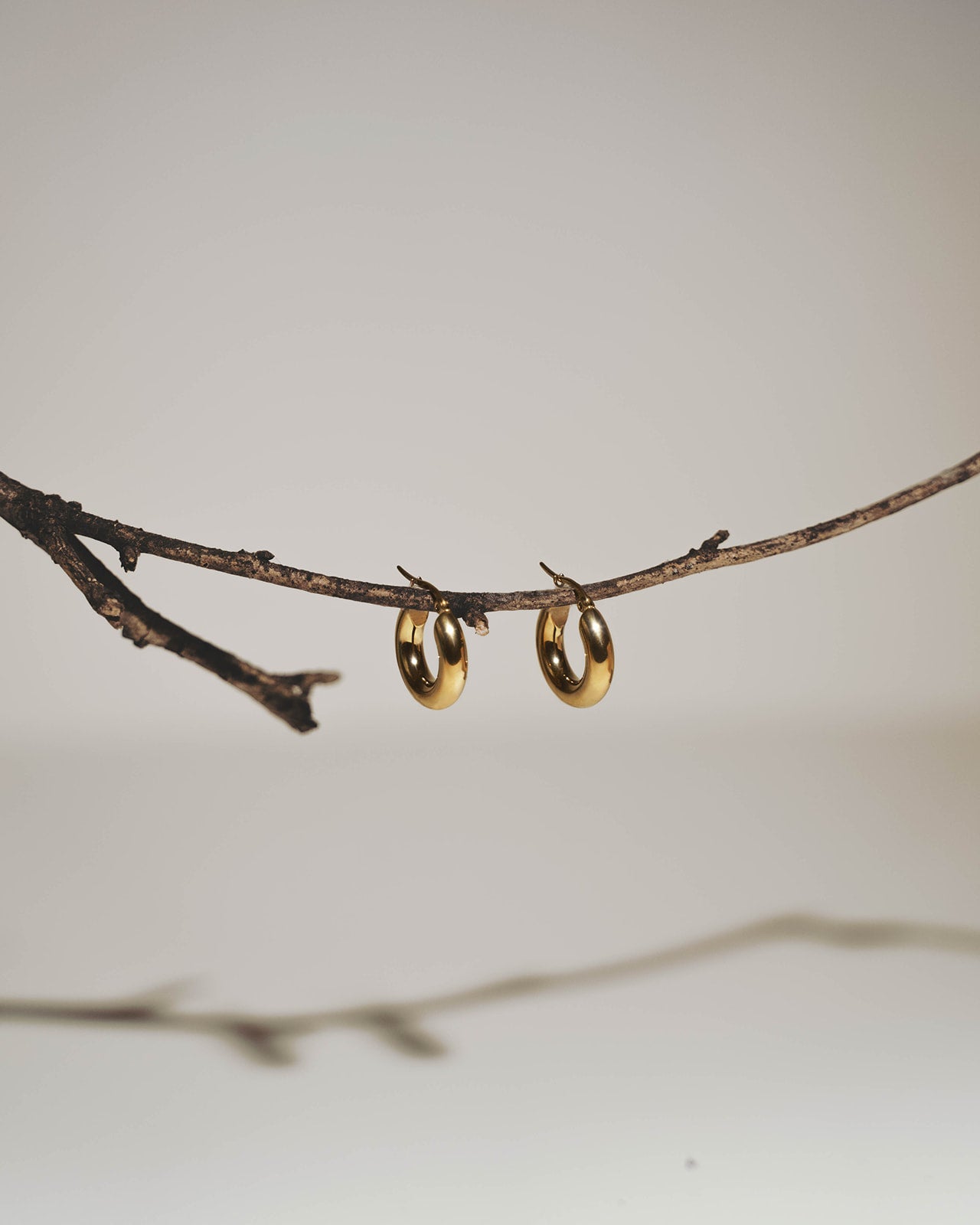 A pair of small gold hoop earrings hanging from a thin brown branch against a soft light gray background.