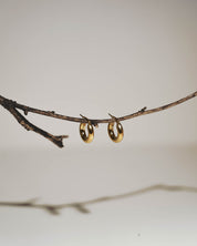 A pair of small gold hoop earrings hanging from a thin brown branch against a soft light gray background.