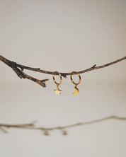 Gold hoop earrings, one with a star charm and one with a crescent moon charm, hanging from a thin brown branch against a soft, light gray background.