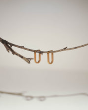 A pair of small gold U-shaped hoop earrings hanging from a thin natural twig against a soft light gray background.