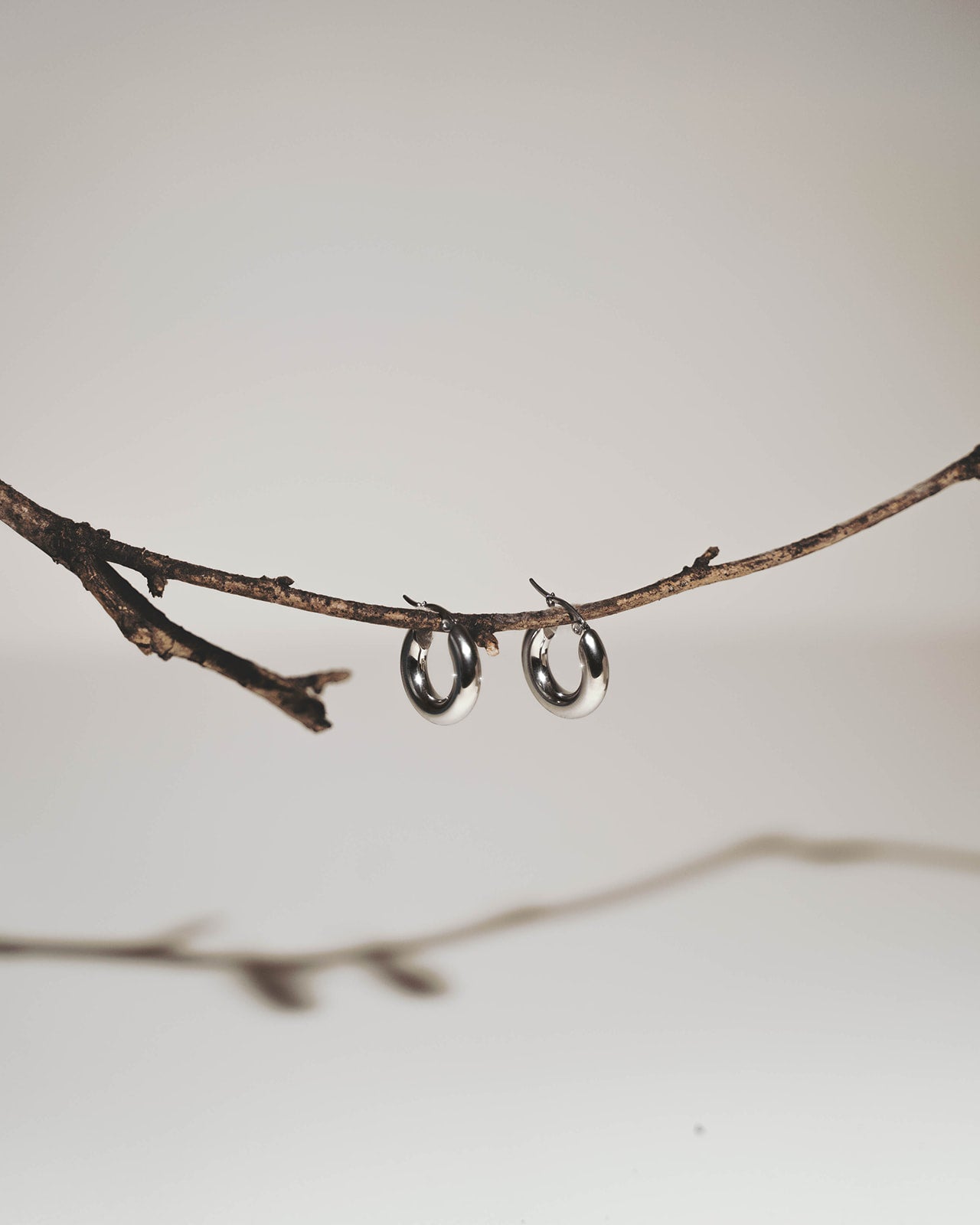 Two small silver hoop earrings hanging from a thin brown twig against a soft light gray background.