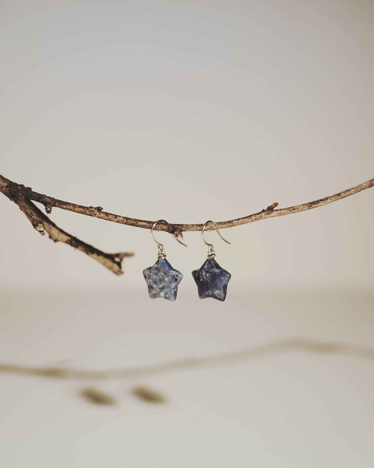 Sodalite Star Gemstone Earrings